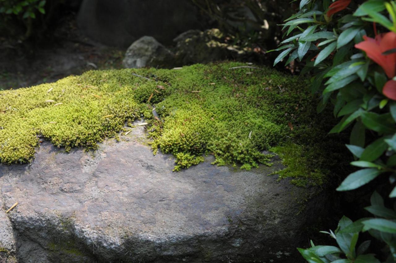 Historical Ryokan Senyukan Owani Dış mekan fotoğraf