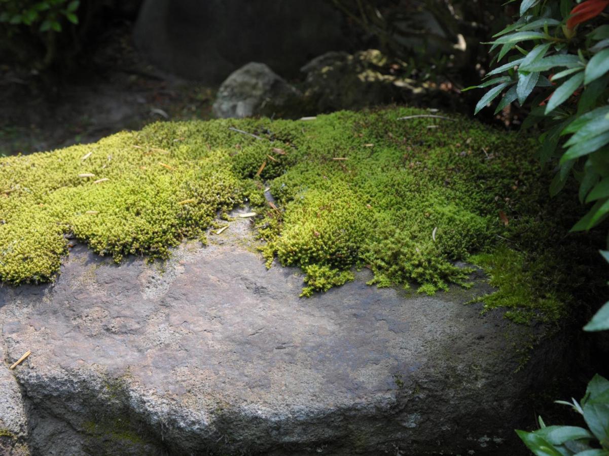 Historical Ryokan Senyukan Owani Dış mekan fotoğraf